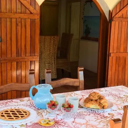 فيلة Ciprea *